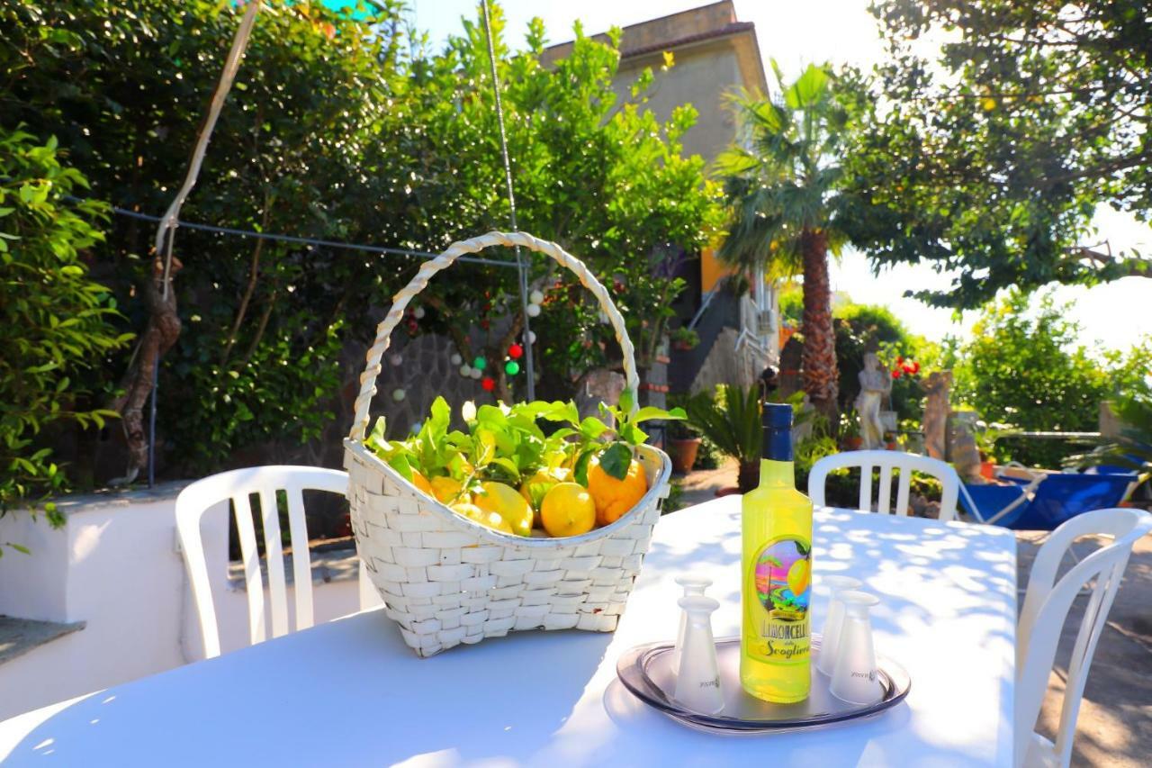 Appartamento La Rosa Del Sud - De Vivo Realty Sorrento Esterno foto